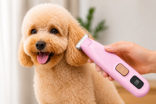 Pet dog cat - dog, grooming