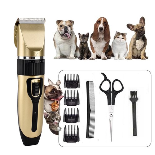 Professional pet dog grooming - pet,