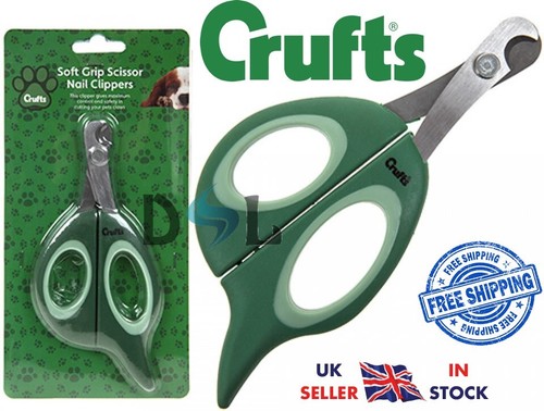 Crufts animal pet dog - animal, cat