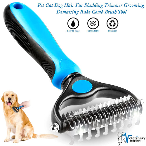 Professional pet dog cat - dog,