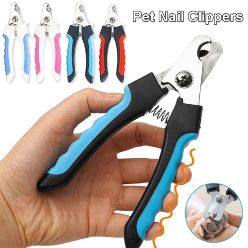 Large pet nail - nail, clippers