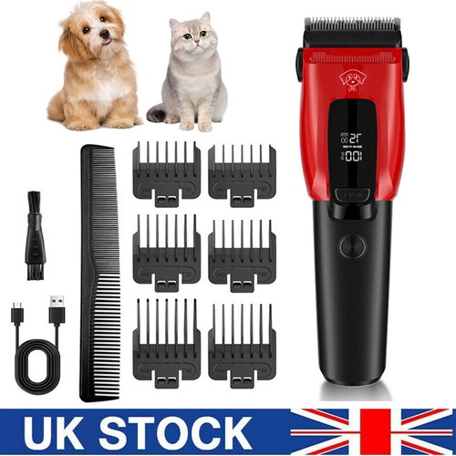 Professional pet dog - professional, grooming