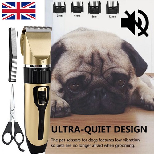 Electric pet cat dog - pet, cat/dog