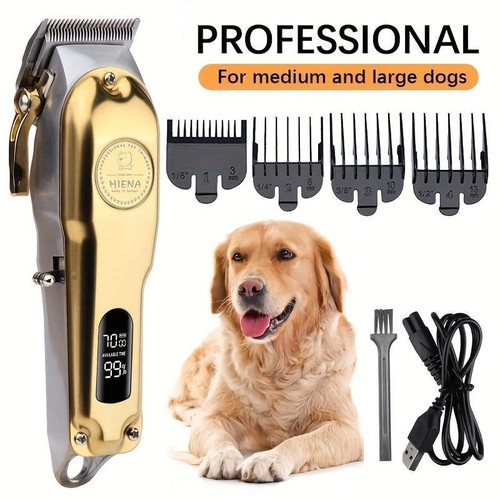 Hiena pet dog cats - dog,