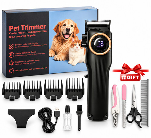 Professional dog cat pet - cat,