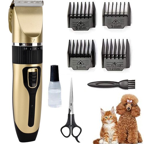 Pet dog cat men - dog, /