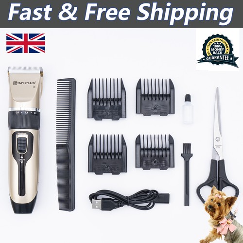 Professional pet dog - dog, grooming
