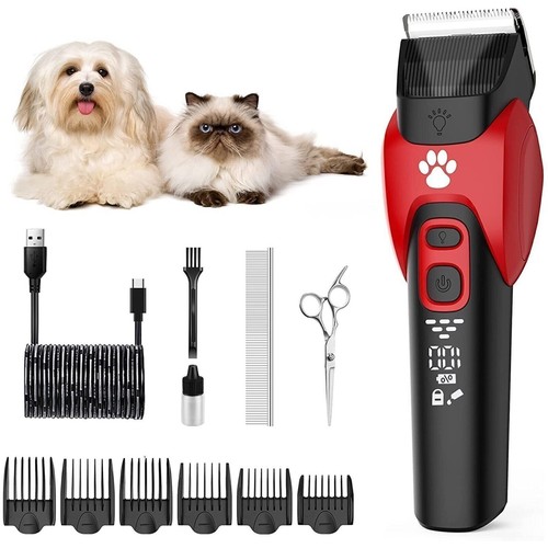Professional pet dog - pet,