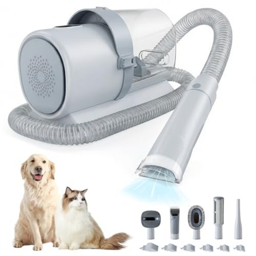 Professional dog grooming - dog,