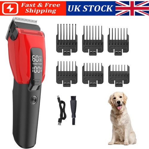 Professional pet dog grooming - professional,